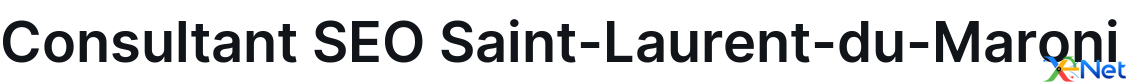 Consultant SEO Saint-Laurent-du-Maroni